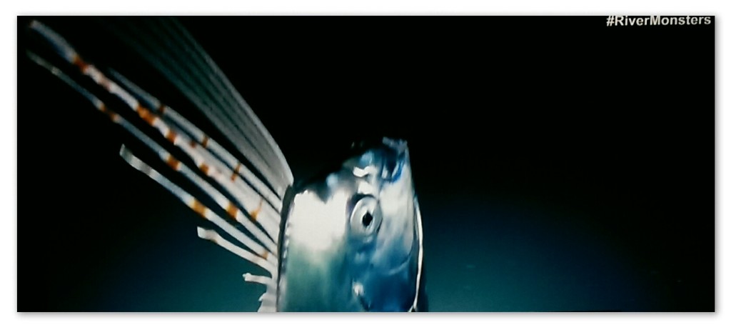 Image of an Oarfish from the River Monsters episode 'Deep Sea Demon'