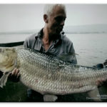 Image of a Goliath Tigerfish caught by Jeremy Wade