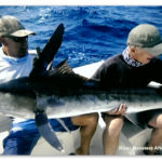 Image of Jeremy Wade with a striped marlin