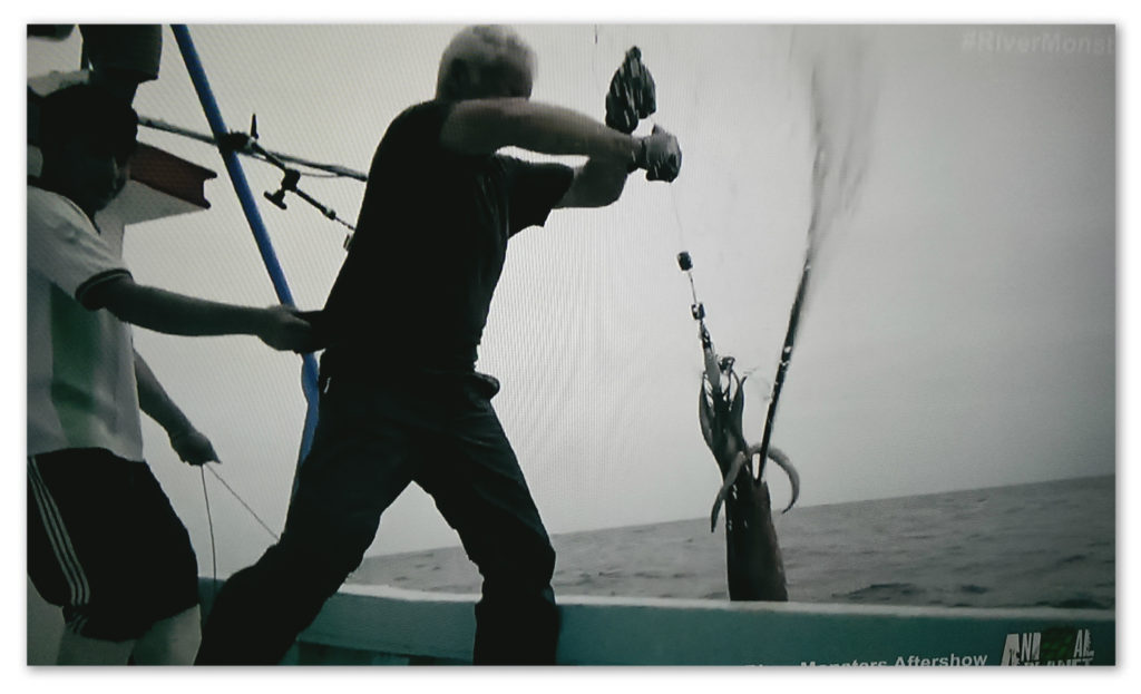 Image of a Humboldt squid jetting ink