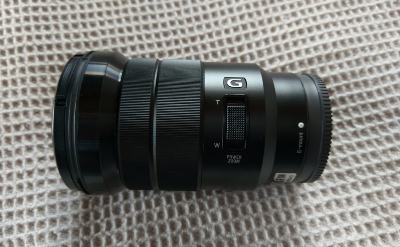 One Year with the Sony 18 – 105mm E Mount Lens