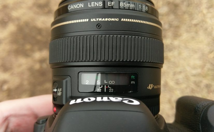 The Canon 85mm f/1.8