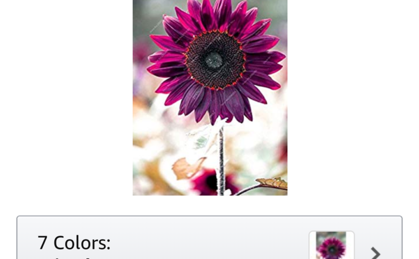 Purple Sunflower Seed Scam on the Amazon dot Com