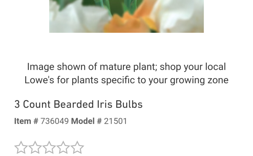 Lowes’ Insane Bearded Iris Pricing