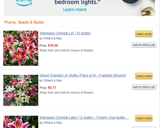 Amazon Auto-Emailing Scam Lily Bulb Listings